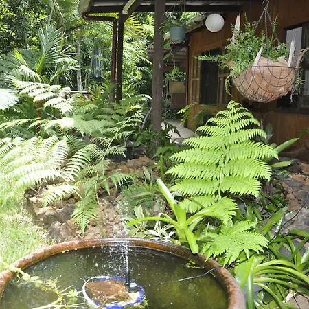 Tropical Bliss Bed And Breakfast-2